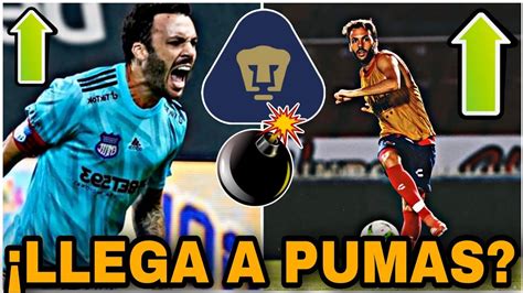 Ltima Hora Refuerzo De Lujo Llegar A A Reforzar A Pumas Refuerzos