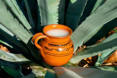 Tepache Pulque O Tejuino El Auge De Las Bebidas Prehisp Nicas