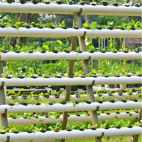 Tips For Growing More In Less Space Backyard Vegetable Gardener