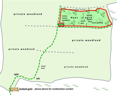 Hyes Copse By Rudgwick Horsham West Sussex South East England