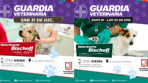 Guardia Veterinaria De Fin De Semana INFOELDORADO