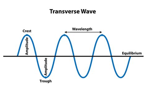 Electromagnetic Waves Transverse Nature