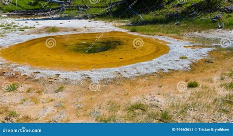 Liberty Pool In Yellowstone National Park Stock Image Image Of