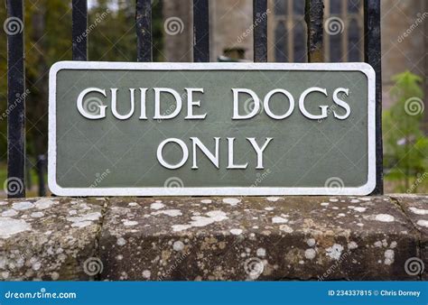 Guide Dogs Only Sign Stock Image Image Of Disability 234337815