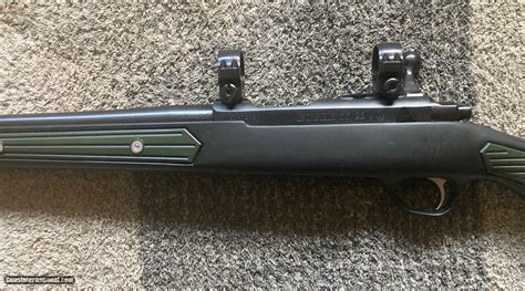 Ruger 77 22 Magnum Zytel Skeleton Stock