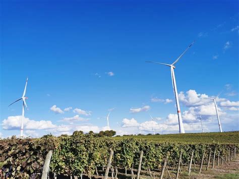 Premium Photo Wind Turbines On Field Against Blue Sky