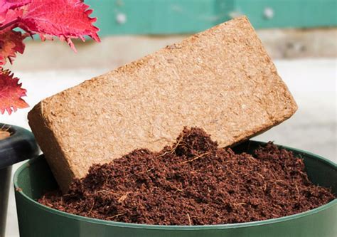 Coco Peat Briquettes In Various Ranges