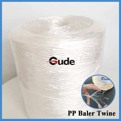 Eco Friend Uv Treated Pp Agriculture Blue Bale Twine China Twine And