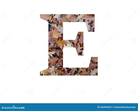 Letter E Of The Alphabet Made With Autumn Brown Oak Leaves Stock Image