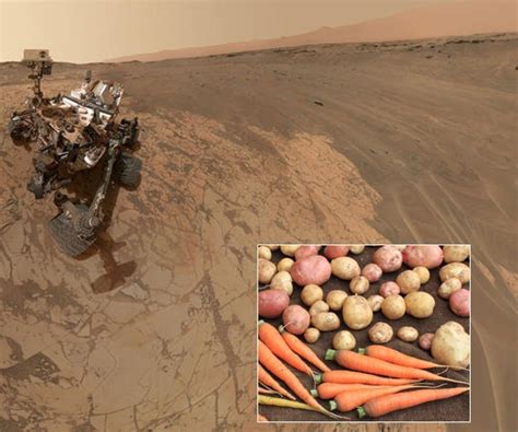 The Martian Plot Comes To Life As Scientists Research How To Grow
