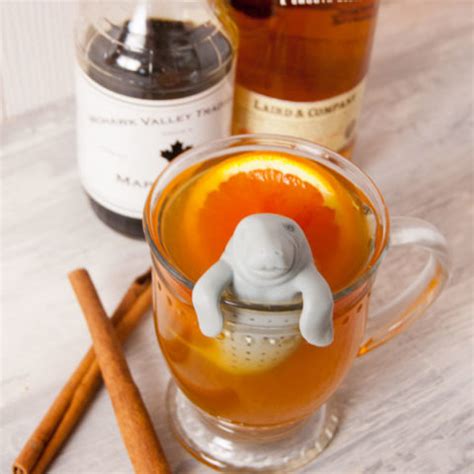 Autumn Hot Toddy