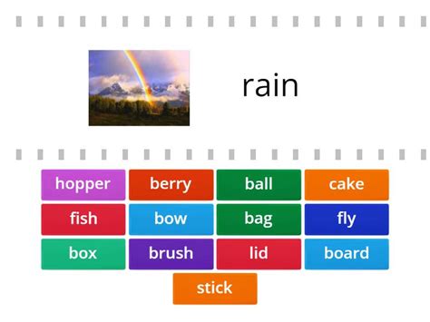 Compound Words Grade 3 Cada Oveja Con Su Pareja