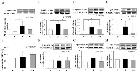 Hepatic Inflammation Related Protein Expression And Endotoxin Levels Of