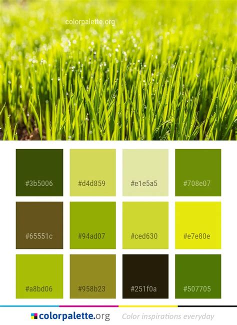 Green Grass Vegetation Color Palette