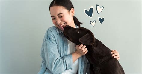 5 signes qui prouvent que votre chien vous aime sincèrement