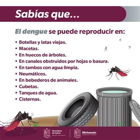 Salud Ssm Ha Realizado Casi Medio Mill N De Acciones Contra El Dengue