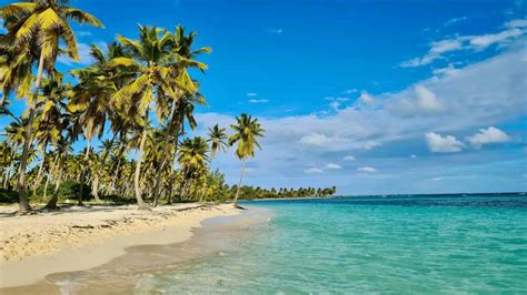 Excursión Isla Saona Desde Punta Cana Lets Go Rd