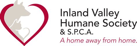 Welcome To The Inland Valley Humane Society And Spcas Animal Lost And