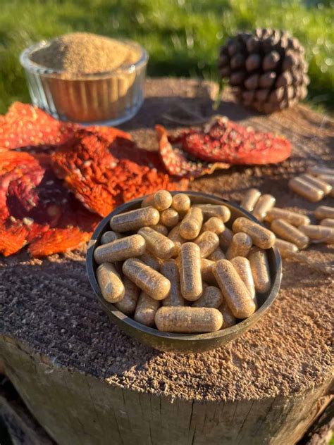 Amanita Muscaria Microdosing - Amanita Awakens Supplements Ireland ...