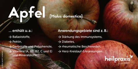 Apfel Inhaltsstoffe Wirkung Und Anwendung Heilpraxis