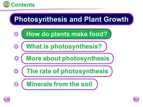 SOLUTION: Photosynthesis and plant growth - Studypool