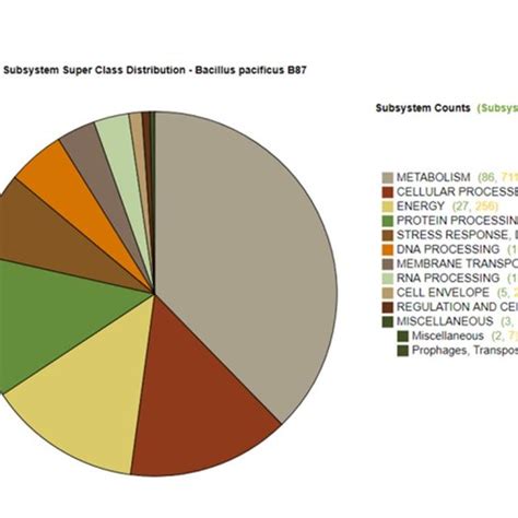 Circular Representation Of The Bacillus Sp B Draft Genome Circular