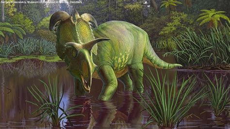 Video New Horned Dinosaur Species Discovered Largest And Most Ornate Of Its Kind Ever Found