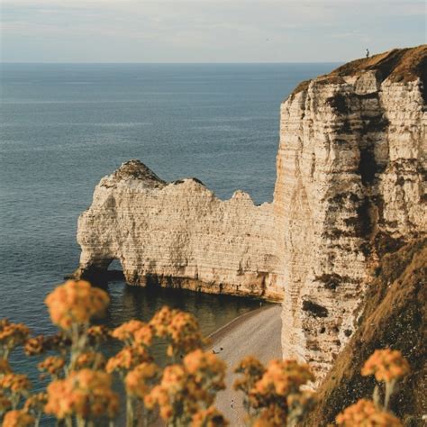 Que faire à Étretat I Guide complet pour organiser son séjour