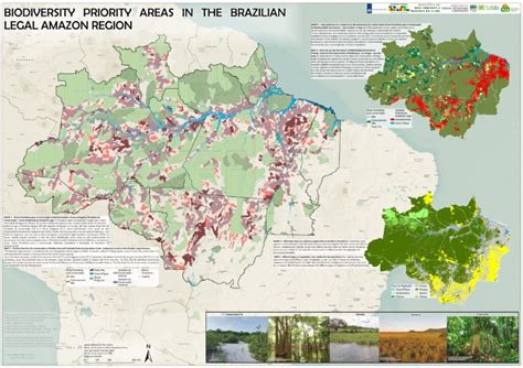 Pesquisa Do Ipam Apoio Holand S Revela Reas N O Protegidas Na