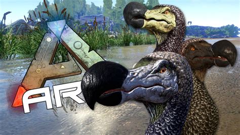 Dodo Egg Farming Taming Dodo Ark Survival Evolved Youtube