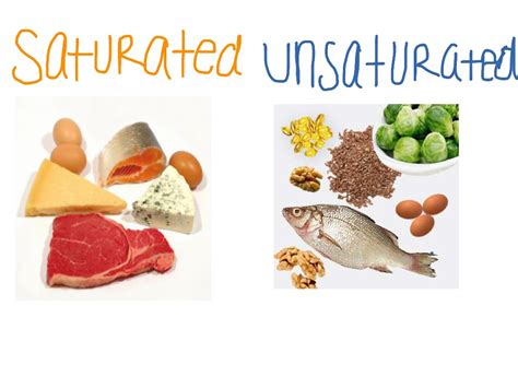 Unsaturated Fatty Acid Foods