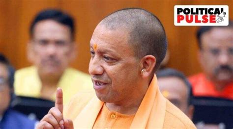 From Cleaning Garbage To Mafia In Uttar Pradesh Local Body Polls Yogi