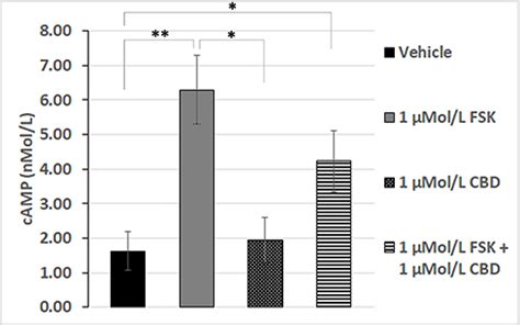 CBD Effects On TRPV1 Signaling Pathways In Cultured DRG Neurons JPR