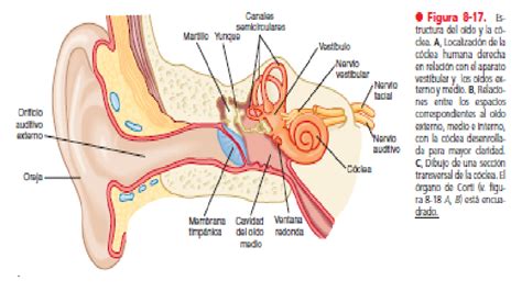 Changing The Way You Learn Mind Map