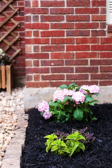 Front Yard Landscaping Ideas: Our Simple Flower Bed Makeover