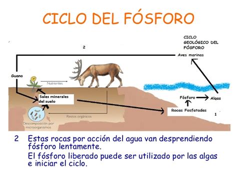 Blog del Centro Escolar Clarisa Cárdenas Novena Unidad La materia y