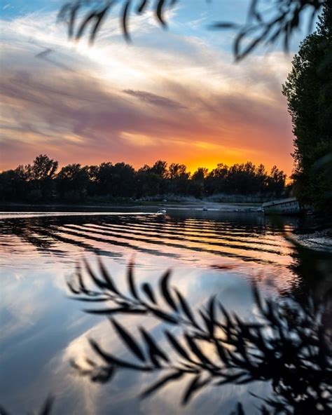 Imagen Gratis Crep Sculo Oscuridad Resplandor De Cielo Naturaleza