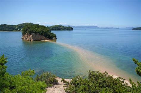 ちょっと早い夏休み 渡部園長の田舎つれづれ日記