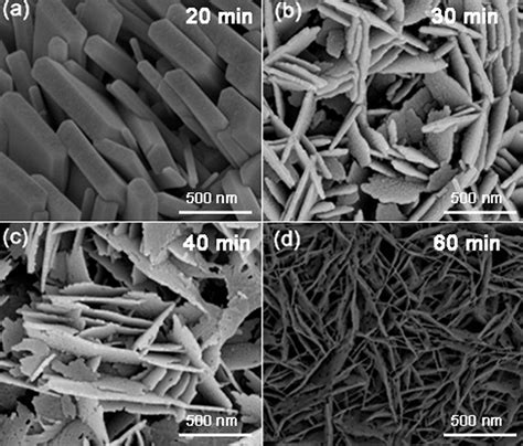 Top View Sem Images Of Zno D Nanosheets With Different Reaction Times