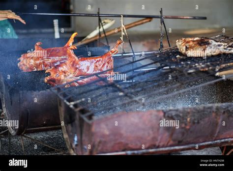 Maialino Da Latte Alla Griglia Immagini E Fotografie Stock Ad Alta