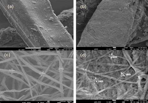 Fe Sem Micrographs Of A Surface Of Raw Cellulose Fibers And B