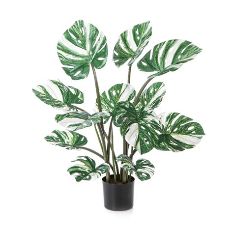 Monstera Deliciosa White Artificial Plant Cm Green Bubble