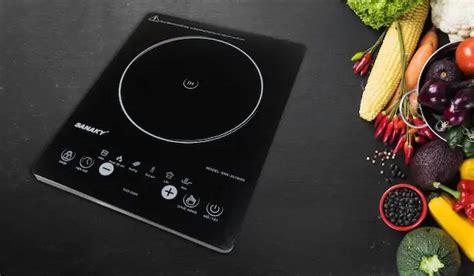 top  bep dien mini tot gia thanh hop ly nen mua nhat