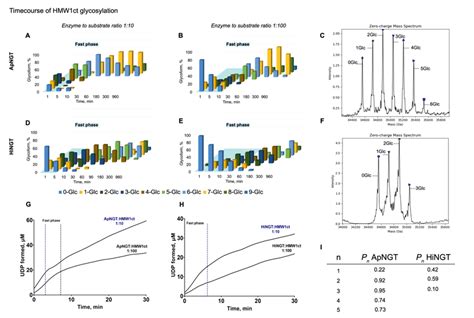 Time Course Experiments And Kinetic Parameters Of The Glycosylation Download Scientific Diagram