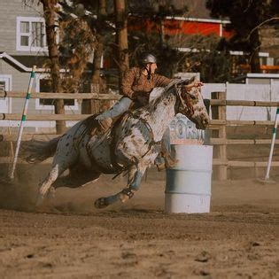 Rodeo Academy Erin Valley Riding Stables