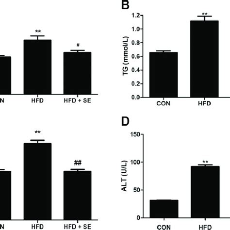 Exercise Improves Serum Lipid Profiles And Liver Injury In Hfd Induced