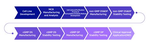 The Journey To Your Success Explore Samsung Biologics Cdo Strengths