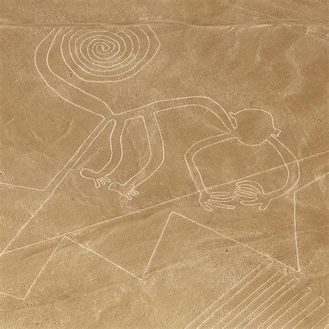 Descubren Cuatro Nuevos Geoglifos En Nazca Gracias A La Inteligencia