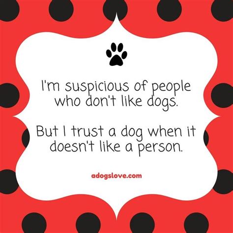 Pin by A Dog's Love on Dog Quotes | Dog quotes, Fur kids, Sentimental