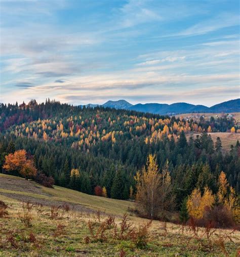 Premium Photo Evening Autumn Carpathian Mountain Ukraine